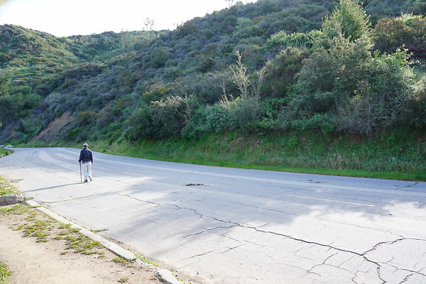 mt-hollywood-dr-2024-169