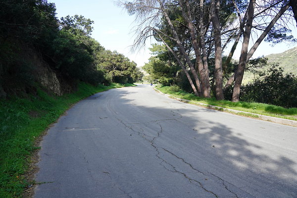 mt-hollywood-dr-2024-187