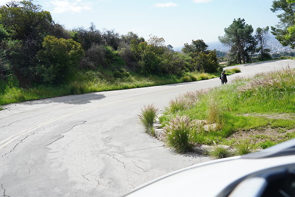mt-hollywood-dr-2024-230
