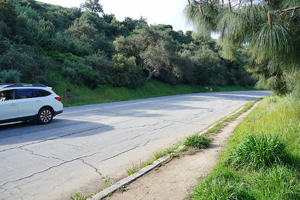 mt-hollywood-dr-2024-171