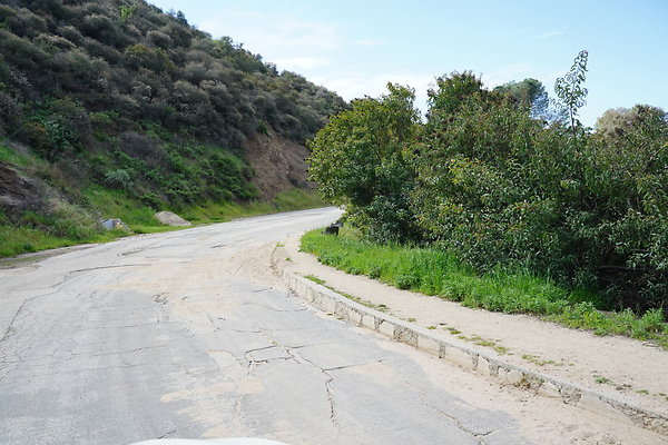 mt-hollywood-dr-2024-215