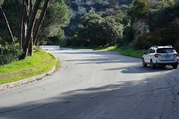 mt-hollywood-dr-2024-191