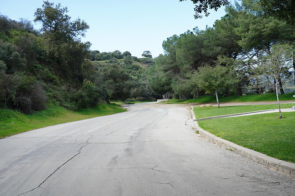 mt-hollywood-dr-2024-200