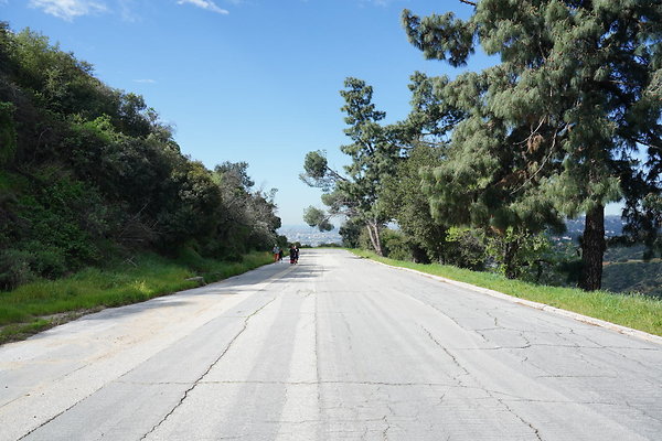 mt-hollywood-dr-2024-207