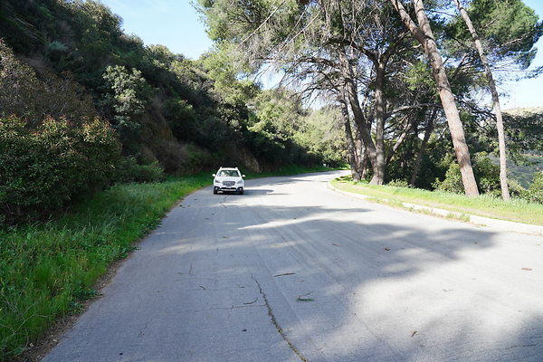 mt-hollywood-dr-2024-193