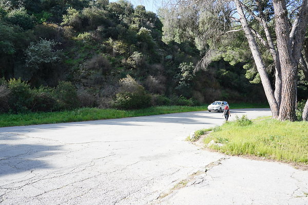 mt-hollywood-dr-2024-198