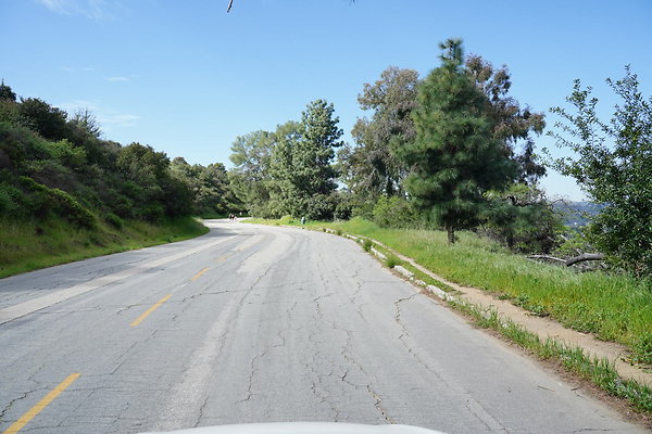 mt-hollywood-dr-2024-216