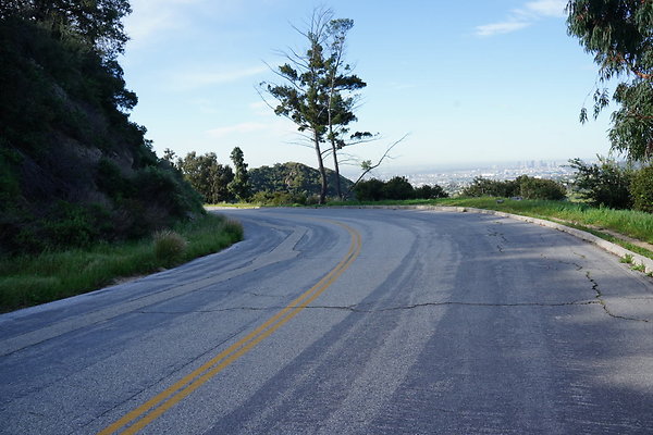 mt-hollywood-dr-2024-178