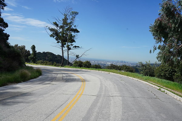 mt-hollywood-dr-2024-210