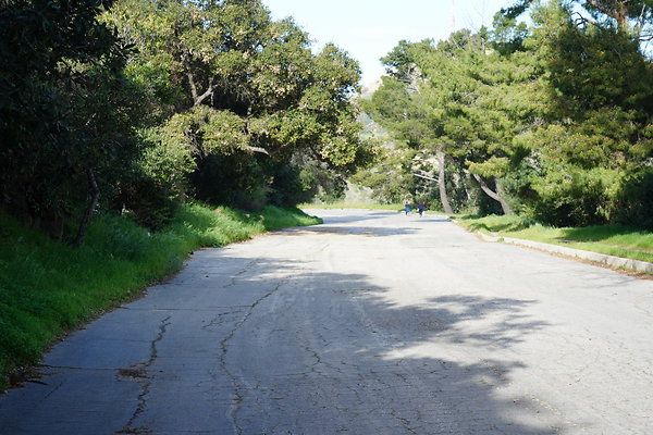 mt-hollywood-dr-2024-190