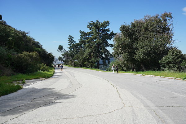 mt-hollywood-dr-2024-205