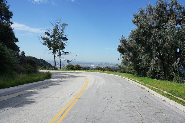 mt-hollywood-dr-2024-209