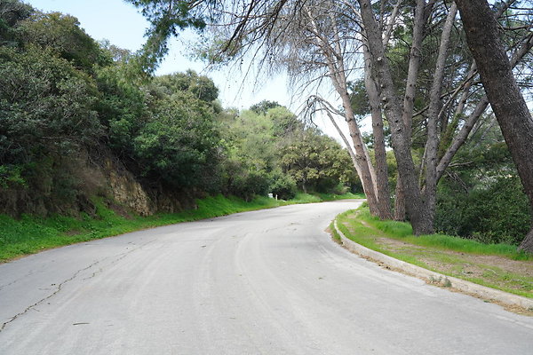 mt-hollywood-dr-2024-202