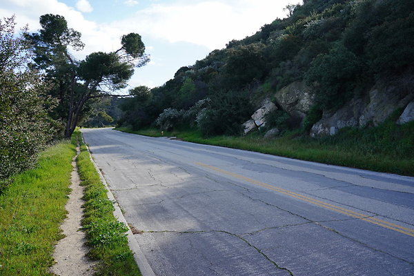 mt-hollywood-dr-2024-175