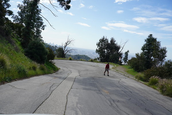 mt-hollywood-dr-2024-224