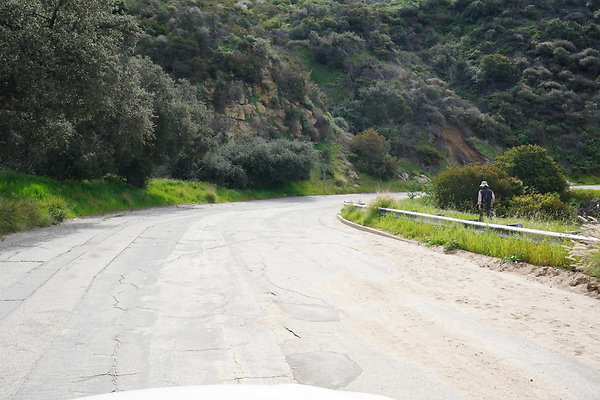 mt-hollywood-dr-2024-214