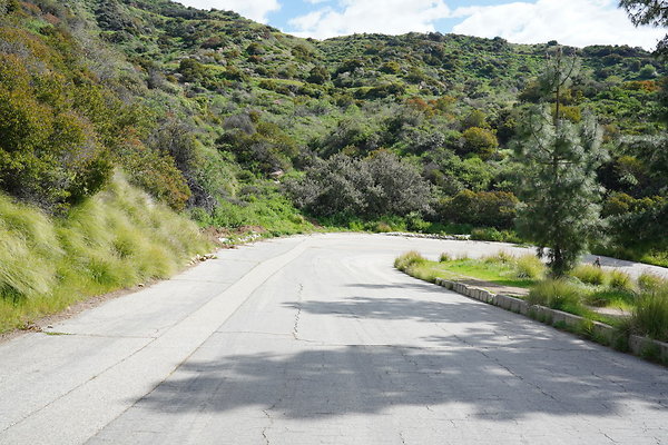 mt-hollywood-dr-2024-229