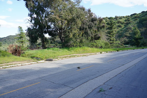 mt-hollywood-dr-2024-168