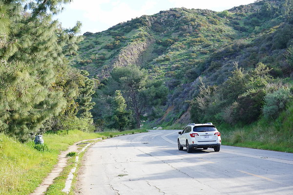 mt-hollywood-dr-2024-164