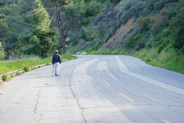 mt-hollywood-dr-2024-173