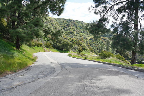 mt-hollywood-dr-2024-226