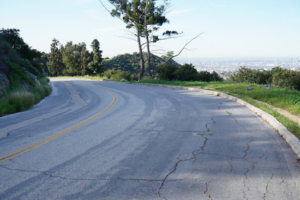 mt-hollywood-dr-2024-179