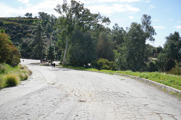 mt-hollywood-dr-2024-236
