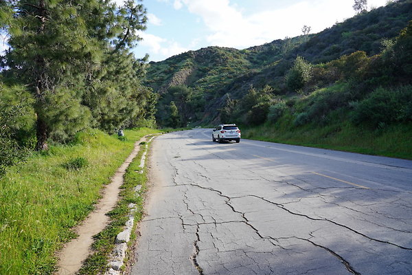 mt-hollywood-dr-2024-163