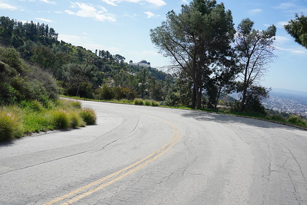 mt-hollywood-dr-2024-232