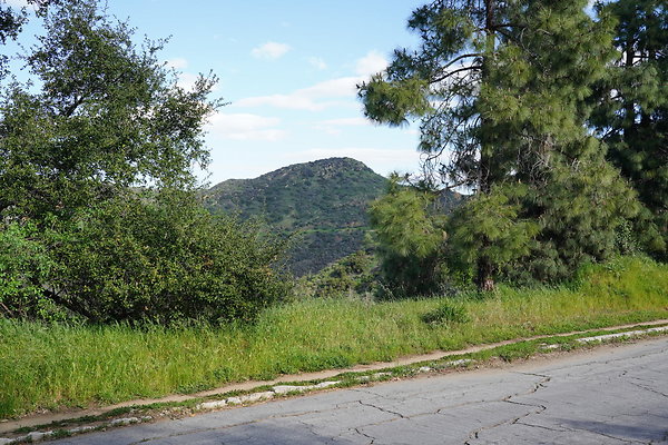 mt-hollywood-dr-2024-160
