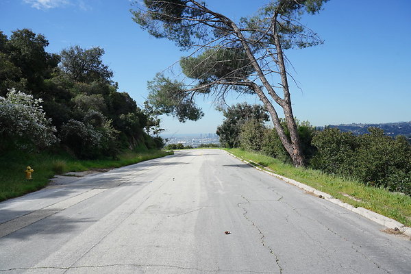 mt-hollywood-dr-2024-208