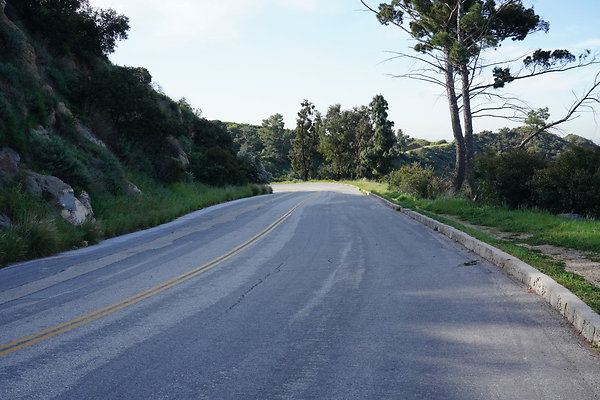 mt-hollywood-dr-2024-184