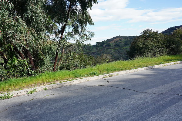 mt-hollywood-dr-2024-181