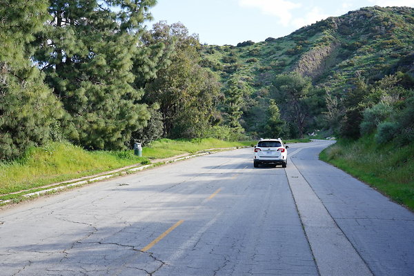 mt-hollywood-dr-2024-161
