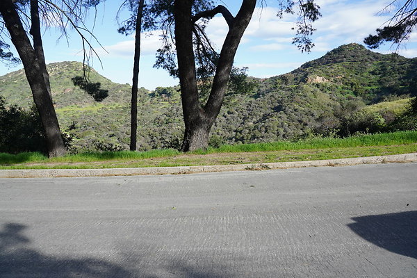 mt-hollywood-dr-2024-188