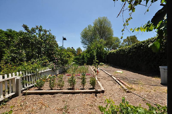2618 garden 2