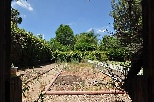 2618 garden 4