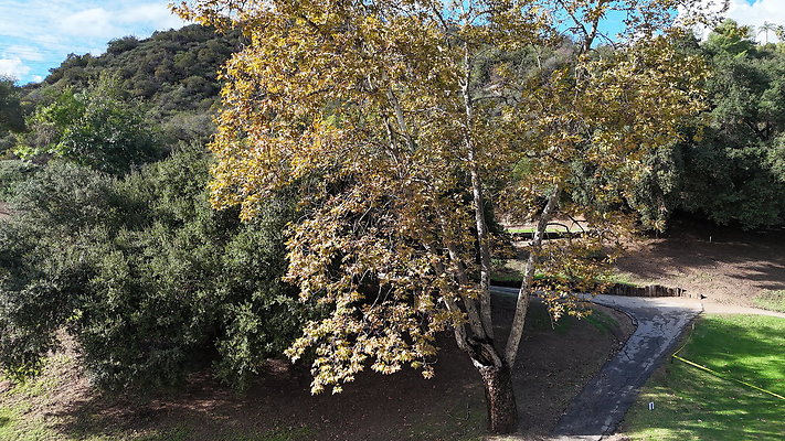 DJI 20251121133139 0033 D - 0.9.142