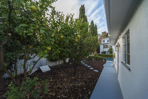 8160 garden 3