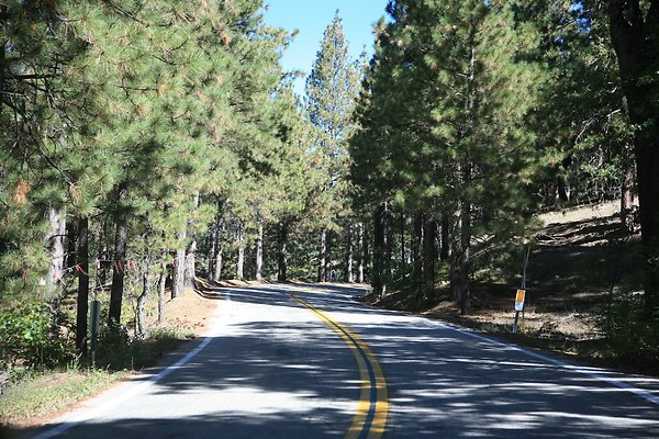 Angelus Oaks Jenks Lake Rd