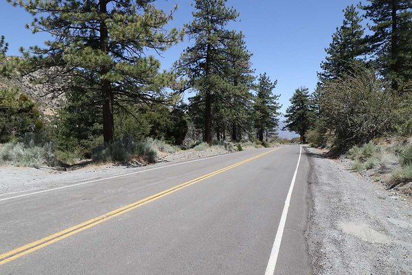Wrightwood Lone-Pine-Cyn-Rd SBNF