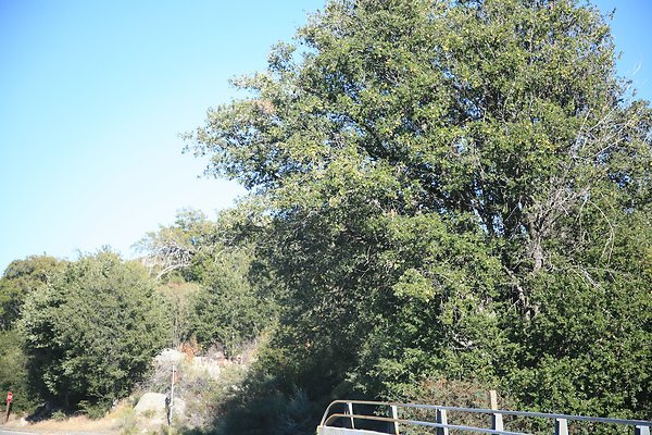 Silverwood Lake SRA  - 38 of 89
