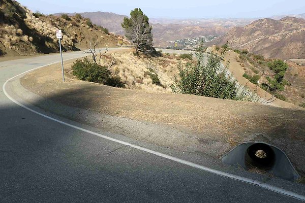 mulholland 069