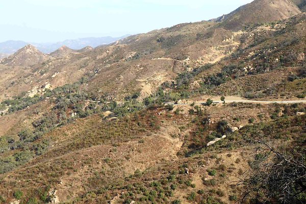 mulholland 085
