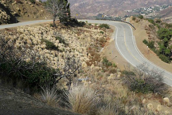 mulholland 066