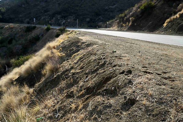 mulholland 075