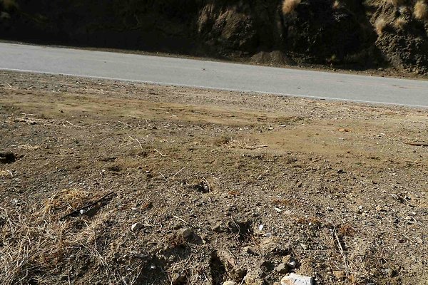 mulholland 076