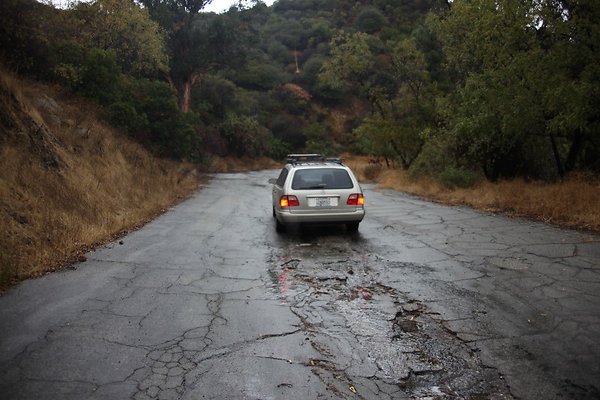 Griffith Park Mt Hollywood Rd