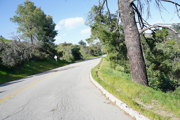 PCO00616