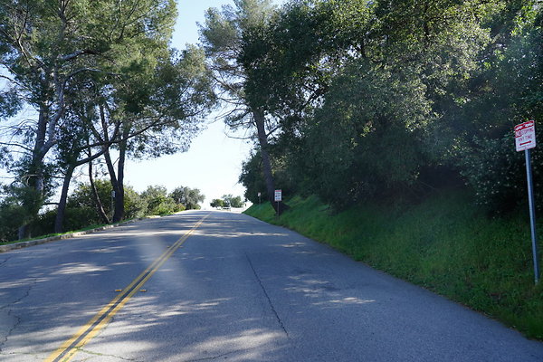 PCO00609